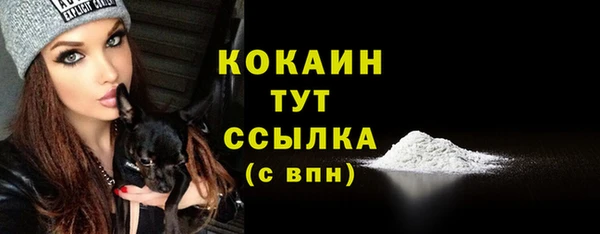 стаф Верхний Тагил