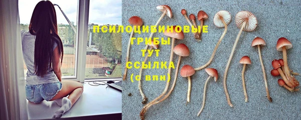2c-b Волоколамск