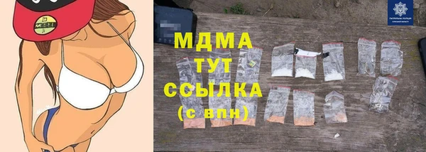 хмурый Верея