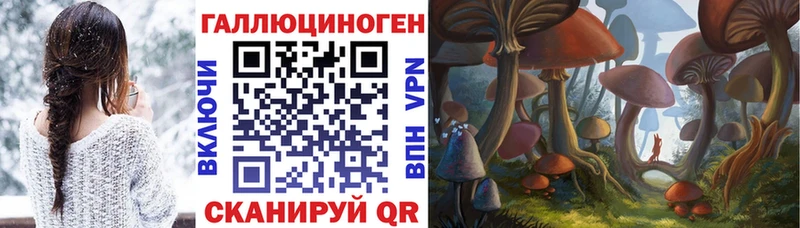 Псилоцибиновые грибы Psilocybine cubensis  дарнет шоп  даркнет какой сайт  Володарск 
