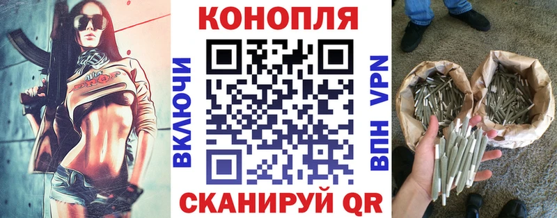 хочу наркоту  Володарск  Бошки марихуана сатива 